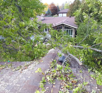 Fallen tree limb resting on a shingled roof after a storm, seen from a high perspective with green leaves and a suburban house.