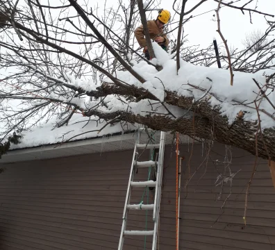Emergency tree removal of a large, snow-covered branch that fell on a roof, with a climber and ladder visible.
