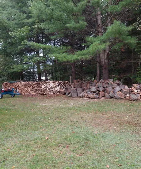 Large pile of split firewood and cut logs stacked in a clearing with a blue log splitter and pickup truck, backed by a dense forest